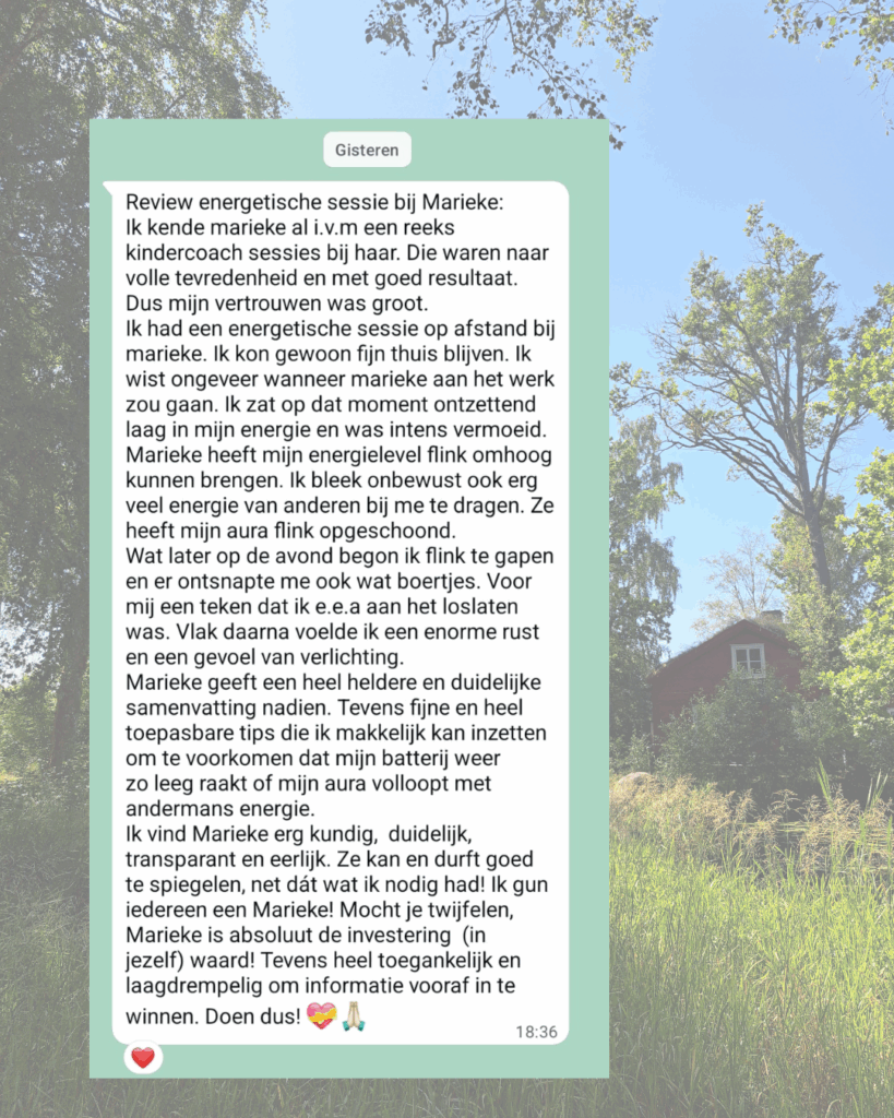 Review Energetische Sessie, tevreden cliënt